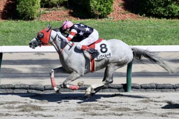 【札幌8R】C.ウィリアムズ騎乗 ビッグベルーガが早め先頭から押し切る