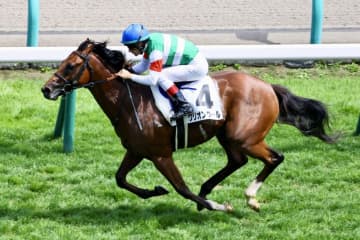 【新馬/札幌5R】単勝1.2倍グリオンヴールが7馬身差圧勝