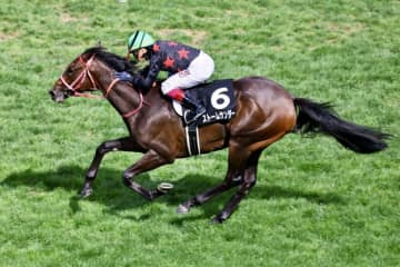 【クローバー賞】A.バデル騎乗 ストームサンダーが格上相手に4馬身差圧勝の初勝利