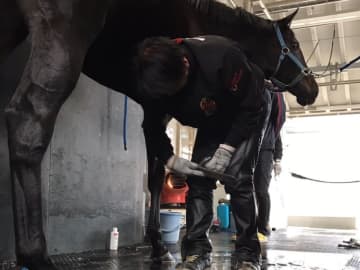 【装蹄師・西内荘コラム】夏バテと蹄の関係、そしてブリーダーズGCへ