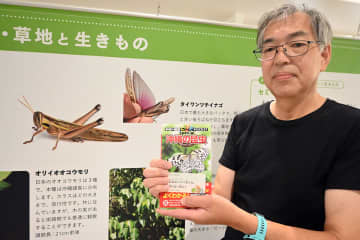 日本最大の「幻のカマキリ」も解説　あつぎ郷土資料館で沖縄の友好都市展