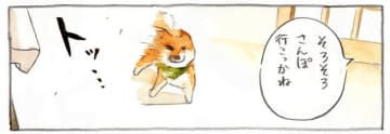 「さんぽ」という単語を聞くと…！？ 興奮が止まらない柴犬の漫画に「わかりみすぎる」「柴犬あるある」とSNS大共感