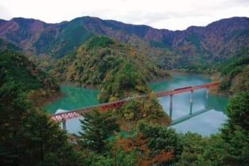 富士山遊覧飛行と大井川鐵道を堪能！人気の“超絶景ツアー” 11月に実施