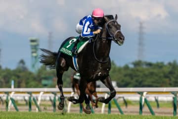 【新潟2歳S】リアライズシリウスが圧巻の走りでデビュー2連勝