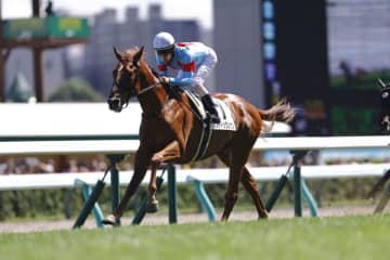 【新馬/札幌5R】外国産ミスティックレナンがデビューV