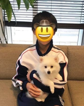 「小さくて恐る恐る抱っこされていた」生後2カ月の日本スピッツ子犬→8年後、家族の心を支える「心の大黒柱」に！