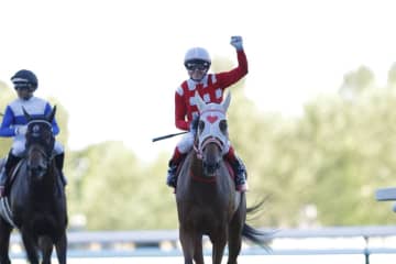【WASJ・第4戦】ウィリアムズ騎乗 ピンクジンがゴール前の接戦を制する
