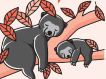 クマも睡眠の質を気にする！？ クマたちの工夫された睡眠スタイルとは【眠れなくなるほど面白い 図解 クマの話】