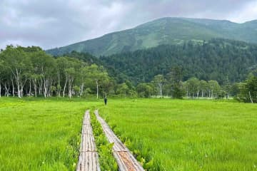 【2025最新】尾瀬一人旅完全ガイド｜60代女性の実体験から学ぶ成功のコツ