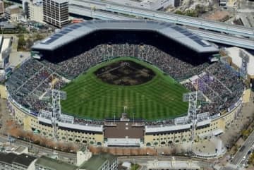 甲子園に2度出場した元球児の弁護士が提言　日本高野連に「公正な通報窓口を」