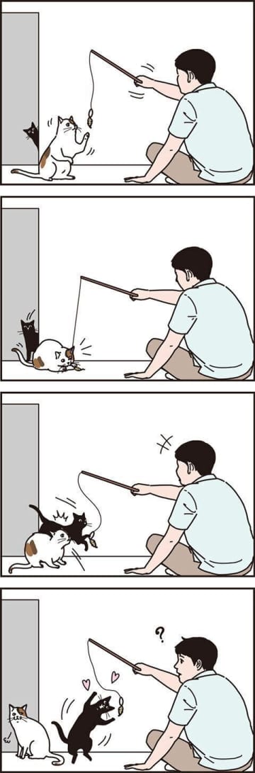 飛び入り参加されると急に冷める猫もいる【男の猫道】vol.142