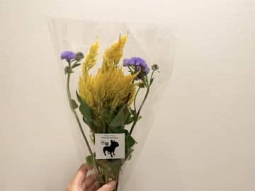 【葛飾青戸】駅近で出会える町のお花屋さん ハナヒデ花園