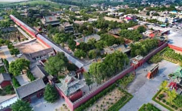 中国で進む科学的古木保存、「緑の記憶」継承支える