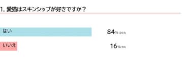 【調査】愛猫はどんなスキンシップが好き？ 飼い主の声と獣医師が教える触れ合い方のコツ