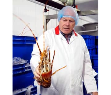 〈持続可能性追求するアイルランドの食料生産〉シーフード編② Sofrimar つぶ貝の最大サプライヤー