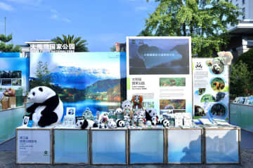 中国で整備進む国家公園　四川省では野生パンダ目撃増加