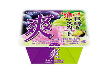 ロッテ“市松模様”の秋限定アイス「爽 巨峰＆マスカット」ぎゅっと濃厚な2種類のぶどう