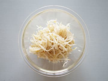 「すぐクタッとなるのに」　モヤシがシャキッと仕上がる方法に「驚いた」「試したい」【4選】