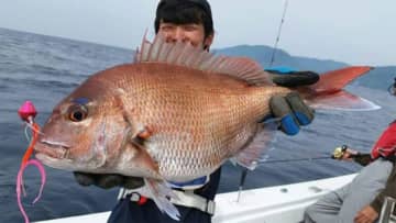 〈初心者の釣り〉“マダイ”の生態／釣りシーズン／釣り方／仕掛け／食べ方【釣ってよし食べてよし! 誰もが愛する海の赤い宝石】