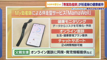 品川区で妊娠・子育て期の女性の健康をサポートする都内初の事業「オンラインMy助産師」開始
