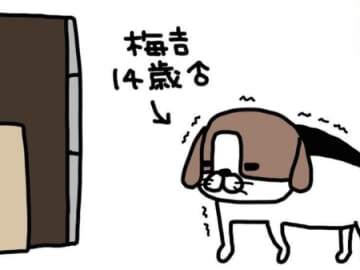 老犬・梅吉の探検。毎回同じ場所で起こるハプニングがかわいすぎる！【パンダと犬#7】
