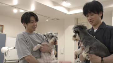 SUPER EIGHT・横山裕が保護犬のトリミングに挑戦！「〇〇にしたら？」の提言に相葉雅紀も初めての経験