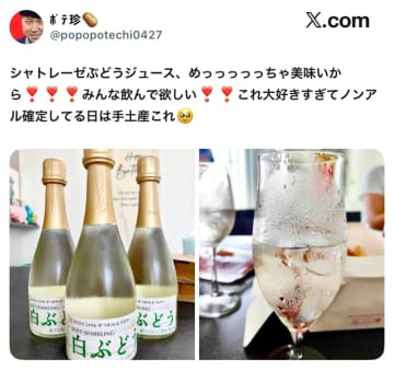 これ、お酒じゃないの？シャトレーゼのシャンパンボトル風ジュースが最強の手土産すぎると話題沸騰