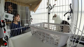 猫好き俳優・有村架純が青木マッチョの自宅にサプライズ登場！“雑誌の撮影みたい”なアイデアなどを駆使し、保護猫・ムサシの心を開けるか