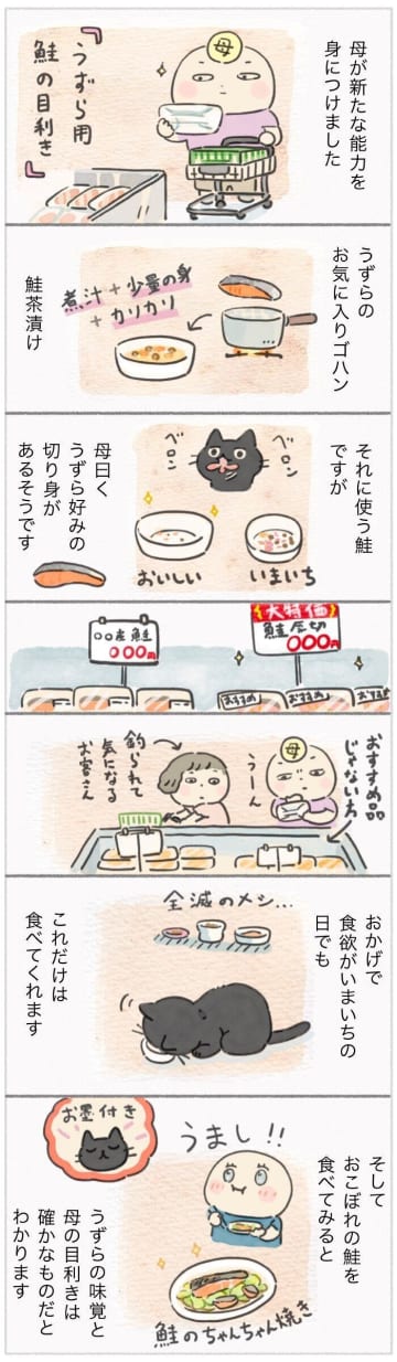 愛猫のために母が習得！鮭の目利きと絶品ご飯の秘密【連載】ねこ連れ草 339話め
