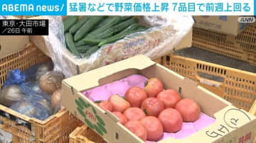 猛暑などで野菜価格上昇 7品目で前週上回る