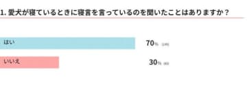「犬が寝言を言うと答えた人は7割！その理由を獣医師が解説