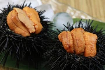 【期間限定!】滋賀に『ウニBBQ』ができるスポットがOPEN⁉海老・ホタテ・サザエも登場【ウニ奉公】