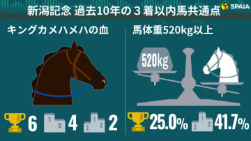 新潟記念は“キンカメ記念”だ！　大型馬優勢のデータにも合致する伏兵とは？