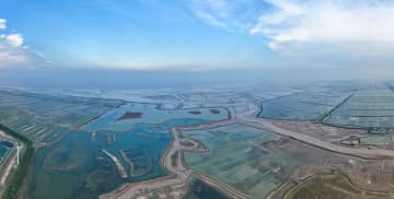 世界遺産の湿地、生態保護で人と自然の共生促進　中国江蘇省