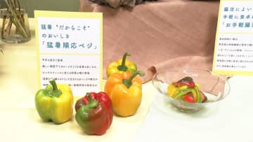 物価高や猛暑反映“2026年の青果トレンド”発表「農業の現場もアップデートへ」