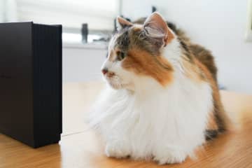 アイ・オーのNAS「LAN DISK」を外付けHDDにバックアップする（実践編）【自宅Wi-Fi使いこなし】