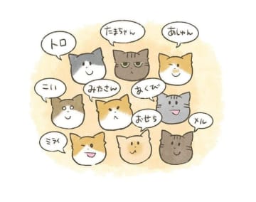 たまちゃんだけに『ちゃん』をつける理由！ボス猫の愛嬌と謎の魅力【連載】交通事故にあった猫を拾いました#222