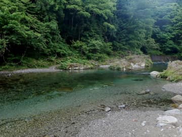 21歳大学生『水深3mの川』で溺れ緊急通報 救急搬送され話題に ネットでコメント殺到「一見穏やかに見えても、実際は下側が押しの強い流れでヒヤッとすることが多いんだよね」「プールで泳ぐのとは全然違います。川が曲がっている箇所に行くと流れも速くなってますし、水草や苔で足を滑らせる危険があります。」