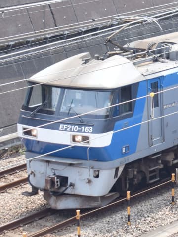 JR高崎線、運転を見合わせ…深夜に貨物列車がシカと衝突　係員が現場確認、車両を点検　午前1時27分に運転を再開