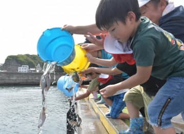 「大きく育ってね」　児童園児がヒラメ稚魚放流　北茨城