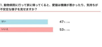 動物病院が苦手で機嫌が悪くなる猫も多い？ 診察後に飼い主ができるメンタルケアを獣医師が解説
