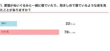 「ぬいぐるみと一緒に寝る猫」は、どんなタイプのコ？　行動から読み取れる心理とは｜獣医師解説
