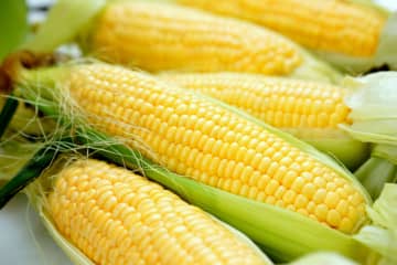 買うべきではない『とうもろこし』の特徴７選！鮮度と甘さを見抜く選び方