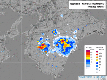 【国道169号/309号/425号】奈良県南部で局地的大雨 通行止めは18時間半ぶりすべて解除（29日10:00現在）