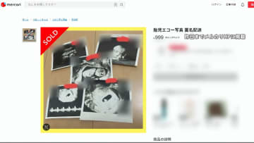 メルカリが「胎児エコー写真」出品禁止に…「不適切と判断されるものに該当」　“妊娠詐欺”に悪用のおそれも