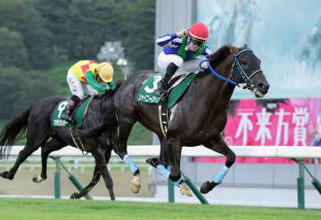 【盛岡・OROカップ】9歳馬シャイニーロックが鮮烈V！渡邊竜也騎手と掴んだ会心の重賞制覇