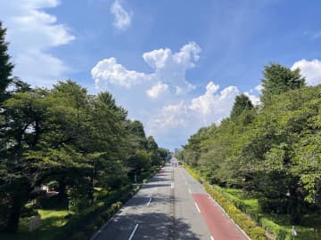 「看板」「張り紙」にも注目！『散歩の達人』編集部・中島の国立さんぽ
