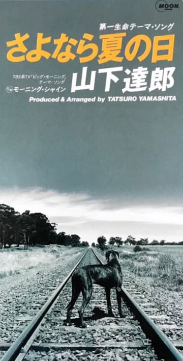 夏の終わりのエバーグリーン ② 山下達郎「さよなら夏の日」35年前の曲が色褪せない理由　 山下達郎の名曲「さよなら夏の日」の魅力を深掘り！