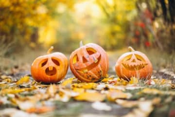 ハロウィンワークショップ＆ふわふわ遊具＆縁日etcキッズフェス、五個荘にて開催決定！！