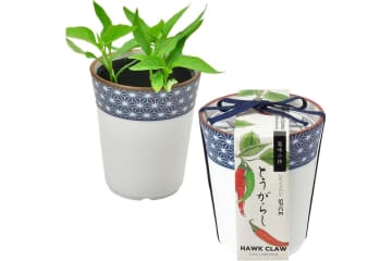 【最大21％OFF】家庭菜園を始めるなら【栽培キット】簡単！いろいろ揃えなくてOK♪【Amazonタイムセール】